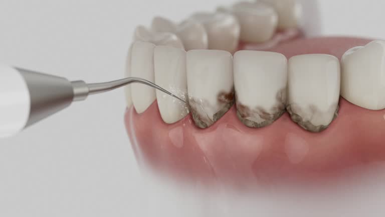 Reliable Dental contractor in Marquette, MI by Dentist Open Now